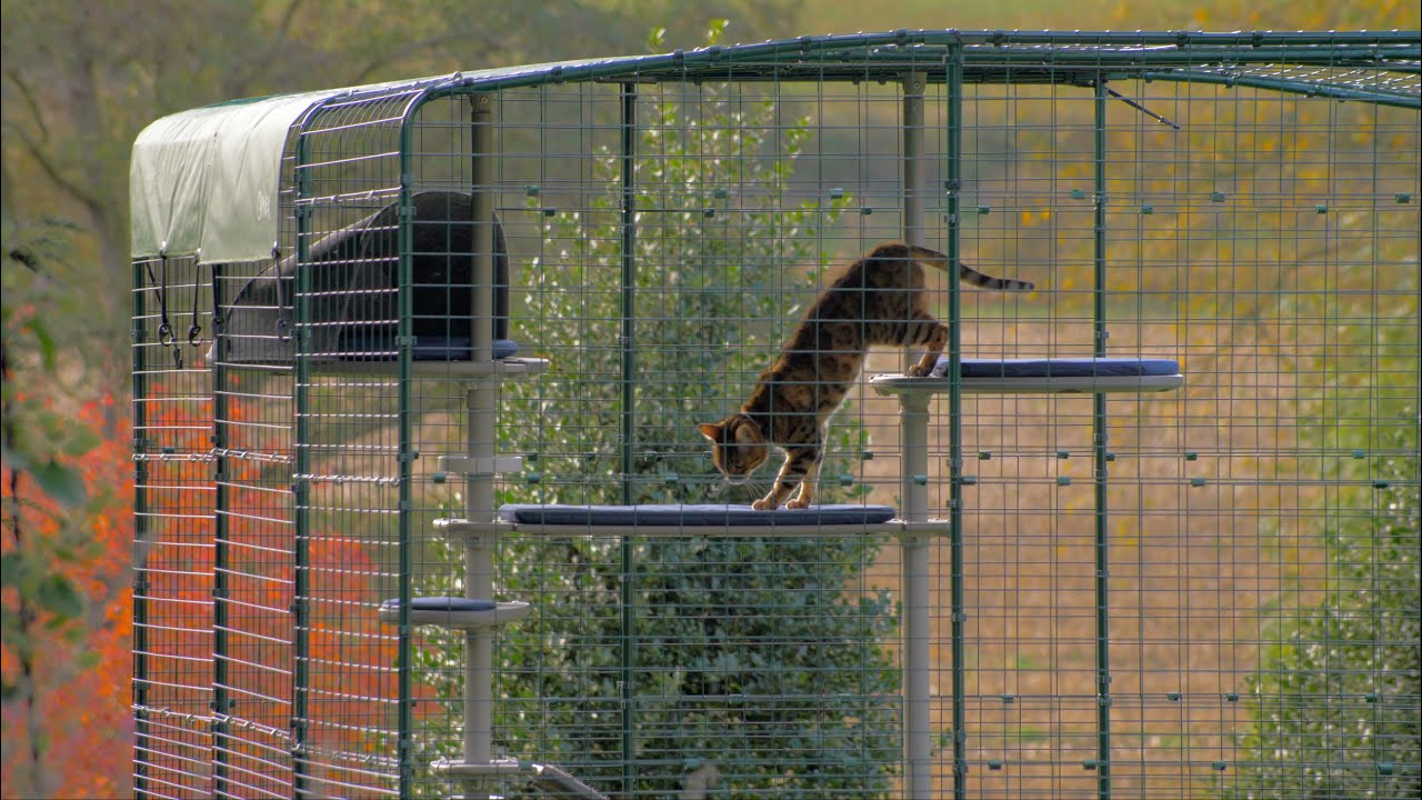 Freestyle Outdoor Cat Tree - Customisable Outdoor Cat Climbing Frame | Omlet Pet Products