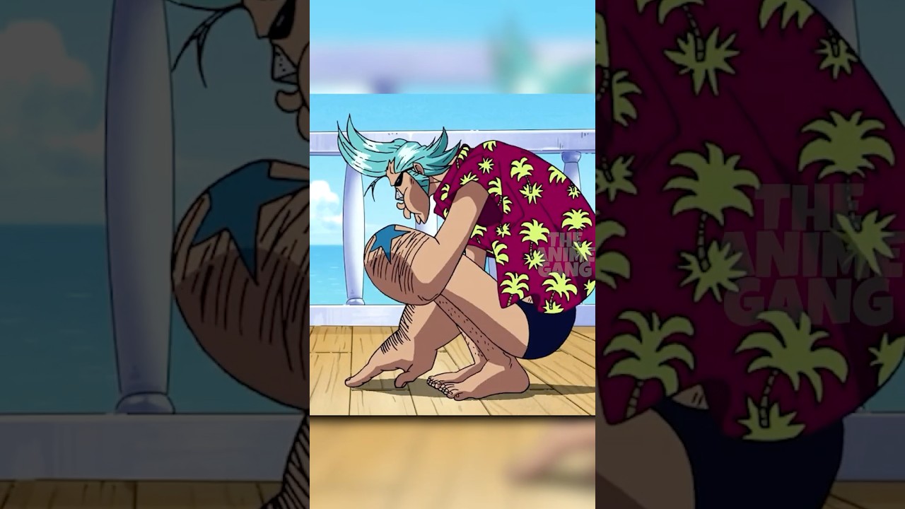 When Franky tried to name the Sunny 😂 #anime #onepiece #luffy
