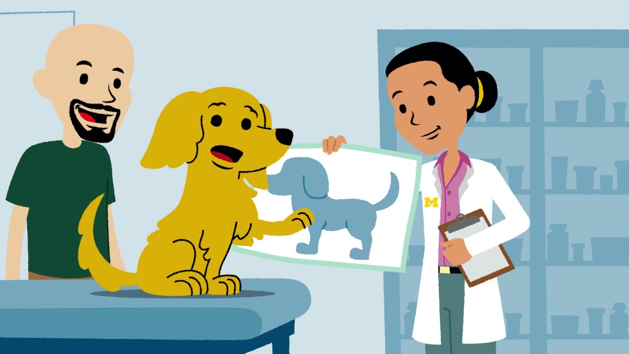 For Kids 5-8 Years Old: What is Pain?