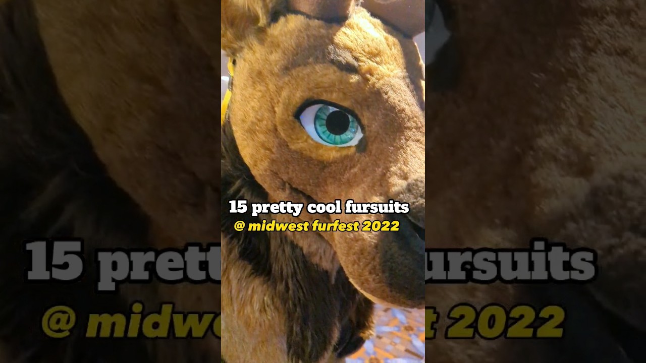 15 pretty cool fursuits from mff2022! 