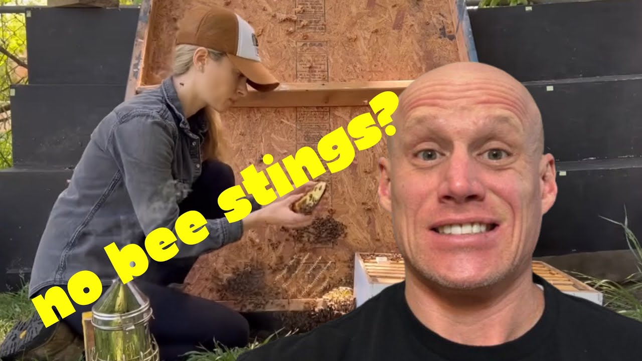 Reacting to Texas Beeworks by a Beekeeper | She didn&rsquo;t get stung? Wow! #beekeeping #reactionvideo