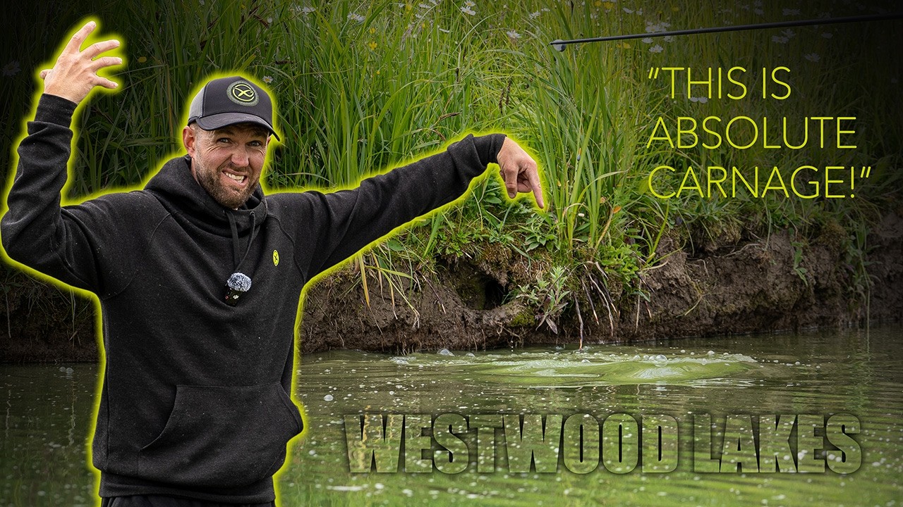 MUDLINE MADNESS | First look at WESTWOOD LAKES before FishOMania FINAL | Callum Dicks
