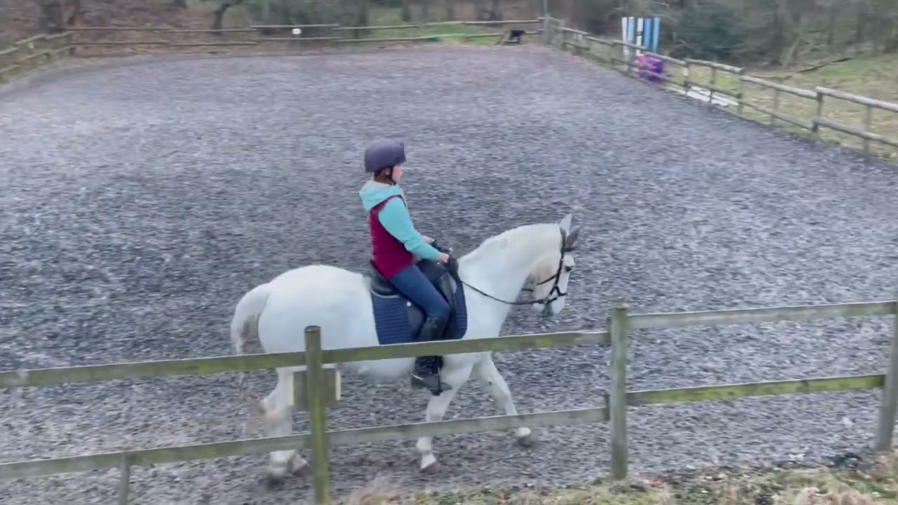 Grace Calvert-Whitehead and Leo IV eriders BRC league novice 3f for Gipping riding society January