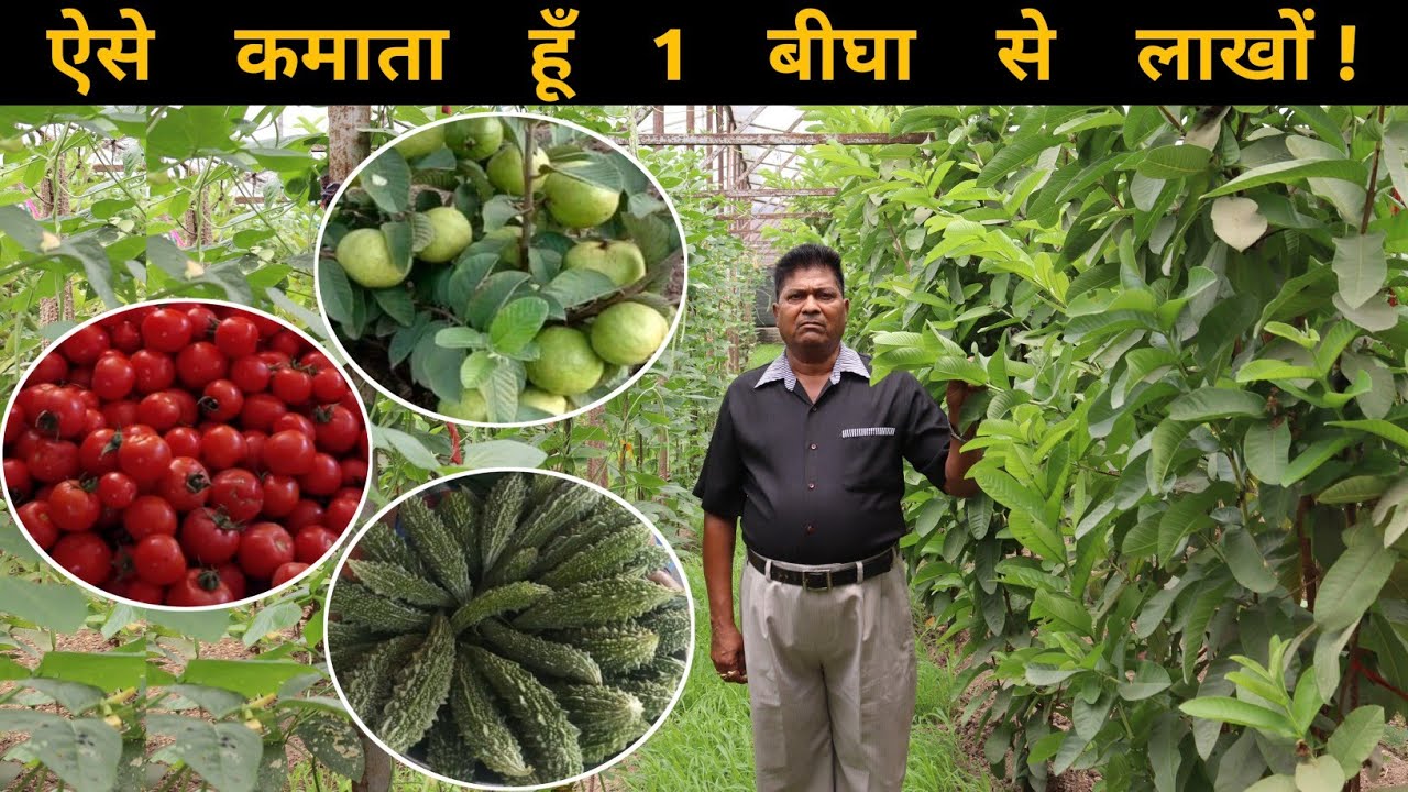पूर्व जिला कृषि अधिकारी जी का Mix Crop Farming Model | Mix Farming In India | Integrated Farming