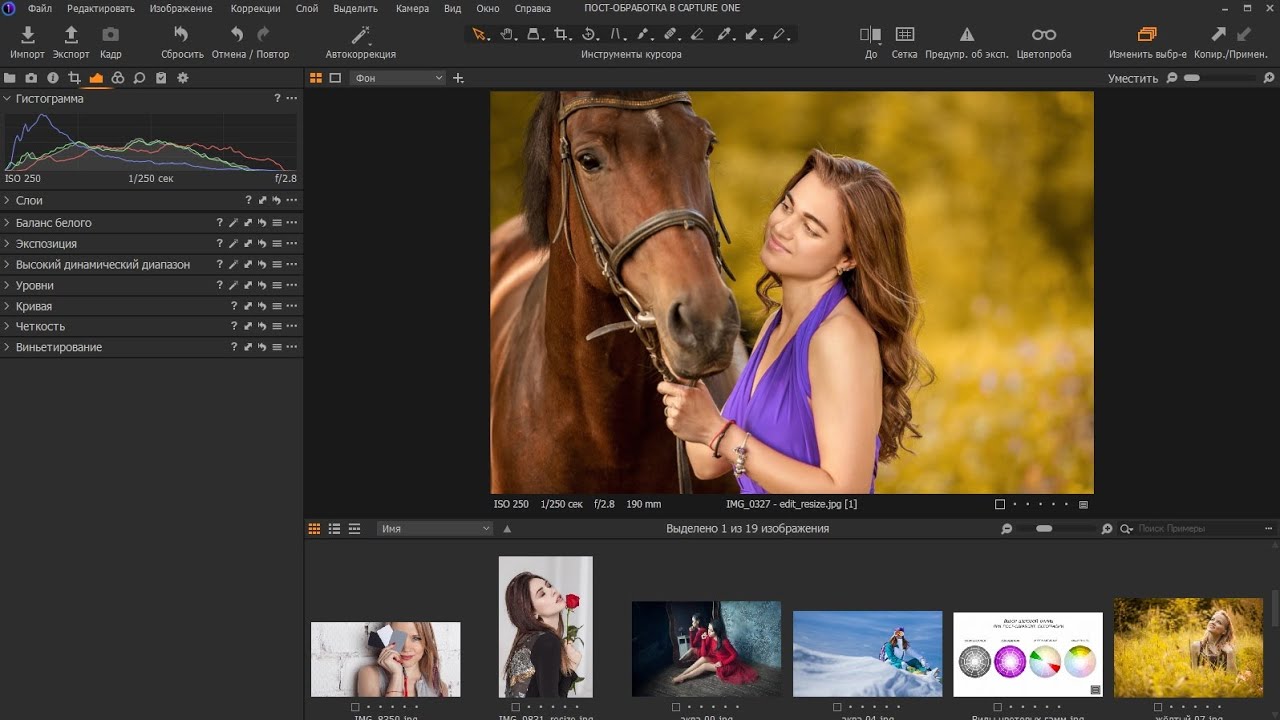 Цветокоррекция в Capture One (дополнительная и аналогичная цветовые гаммы)