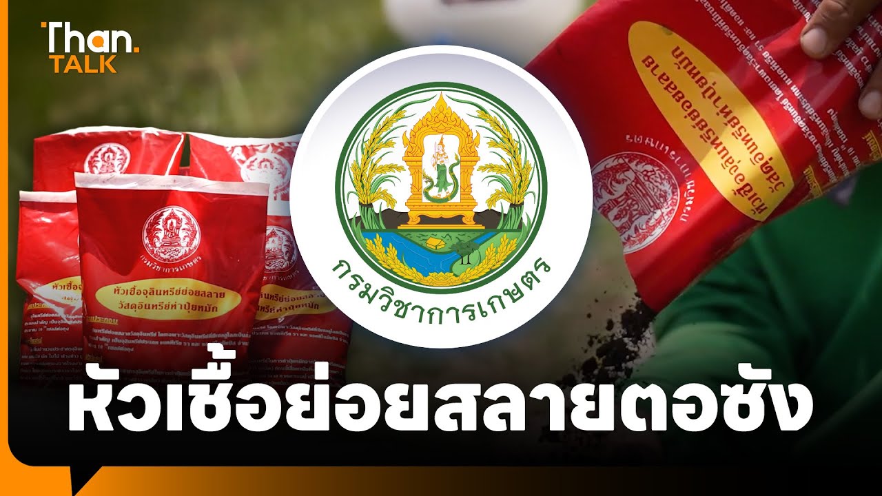 กรมวิชาการเกษตร : หัวเชื้อย่อยสลายตอซัง
