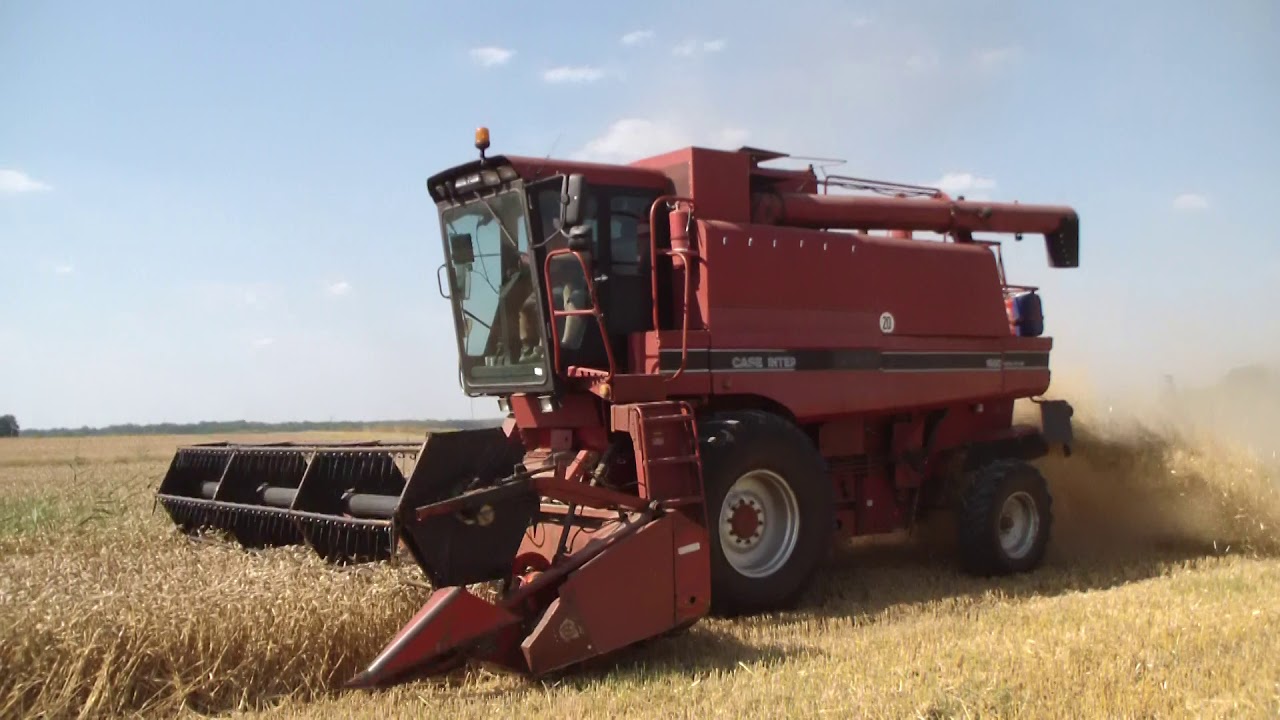 Pszenica 2017 Żniwa z Case Axial Flow 1680E
