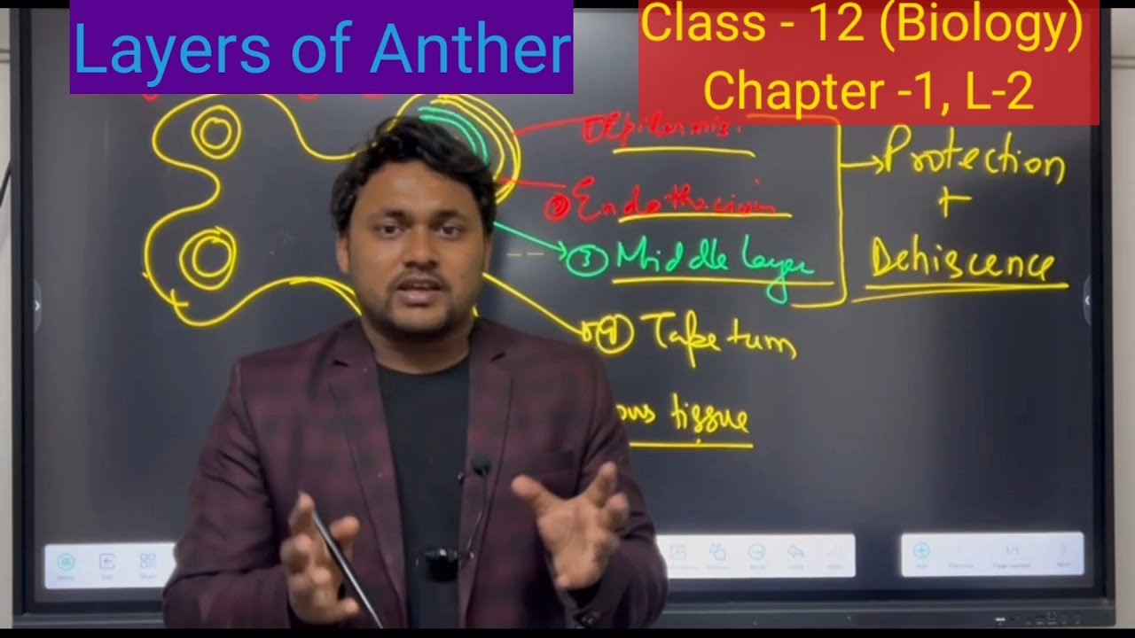Class 12 Biology ch- 1 #Reproduction in organisms lecture 2, layers of #anther By Dhruv Sir  #Neet