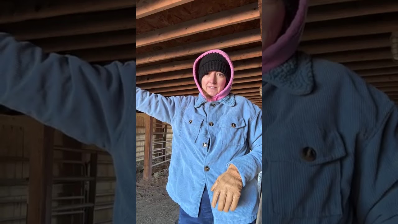 Live on the Farm