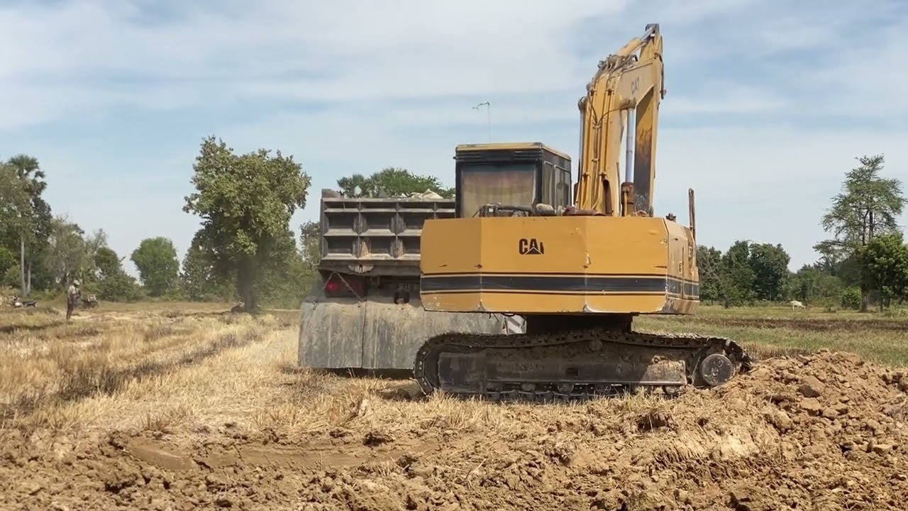 The Hidden Past: Real Excavation Unveiled
