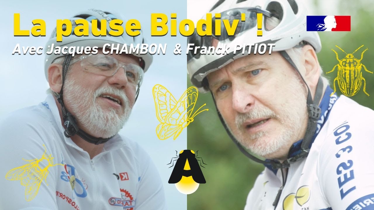 LA PAUSE BIODIV' : VIVE LA BELLE ETOILE ! (Episode 3)