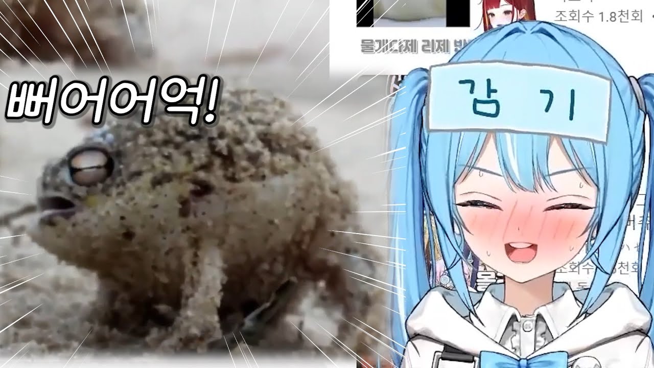 표독 타비구리 영상을 본 타비