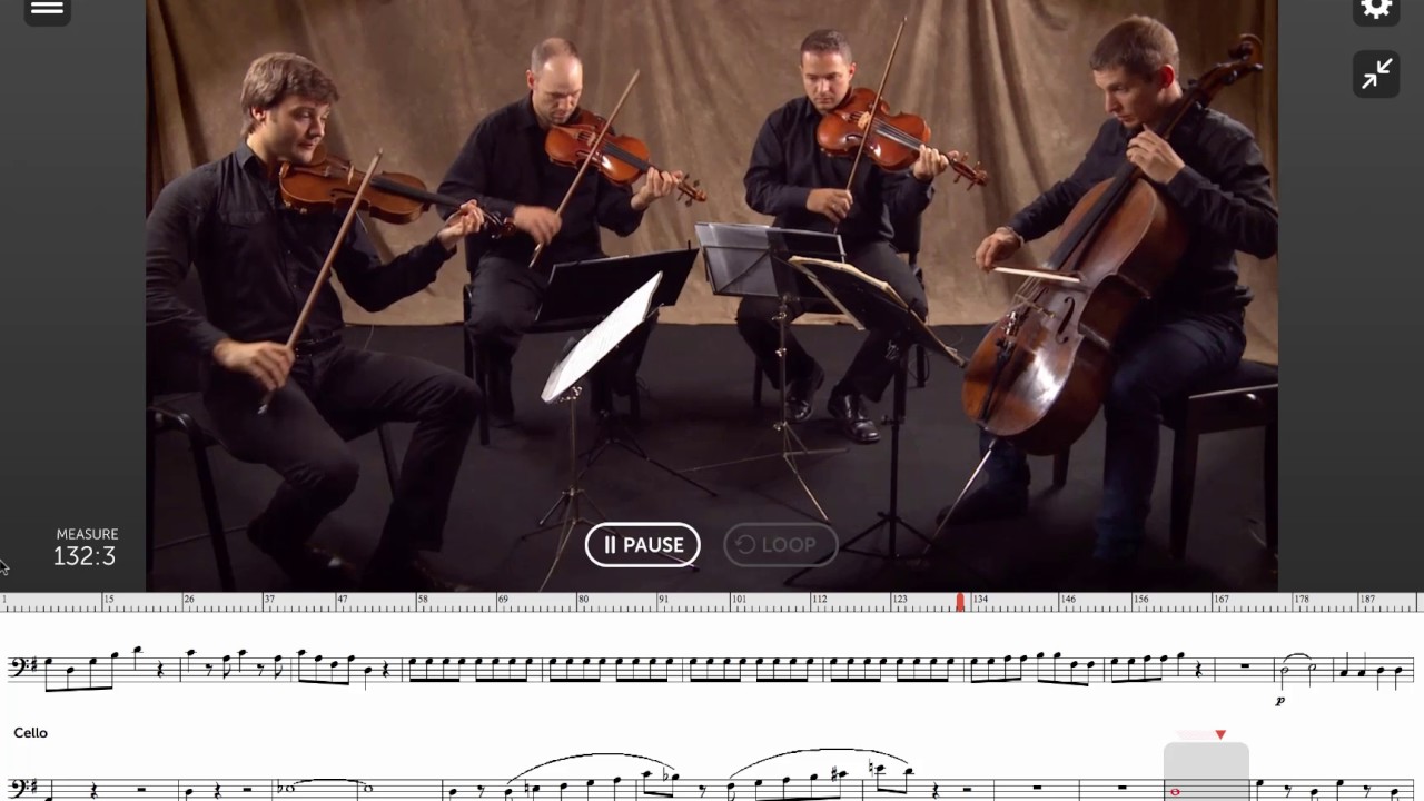Eine Kleine Nachtmusic complete ensemble