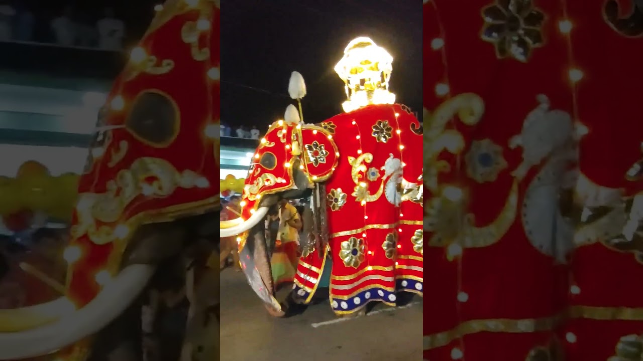 #RajagiriyaPerahera2025  #SriLanka #CulturalParade  #BuddhistTradition  #Vlog  #Highlights  #Events