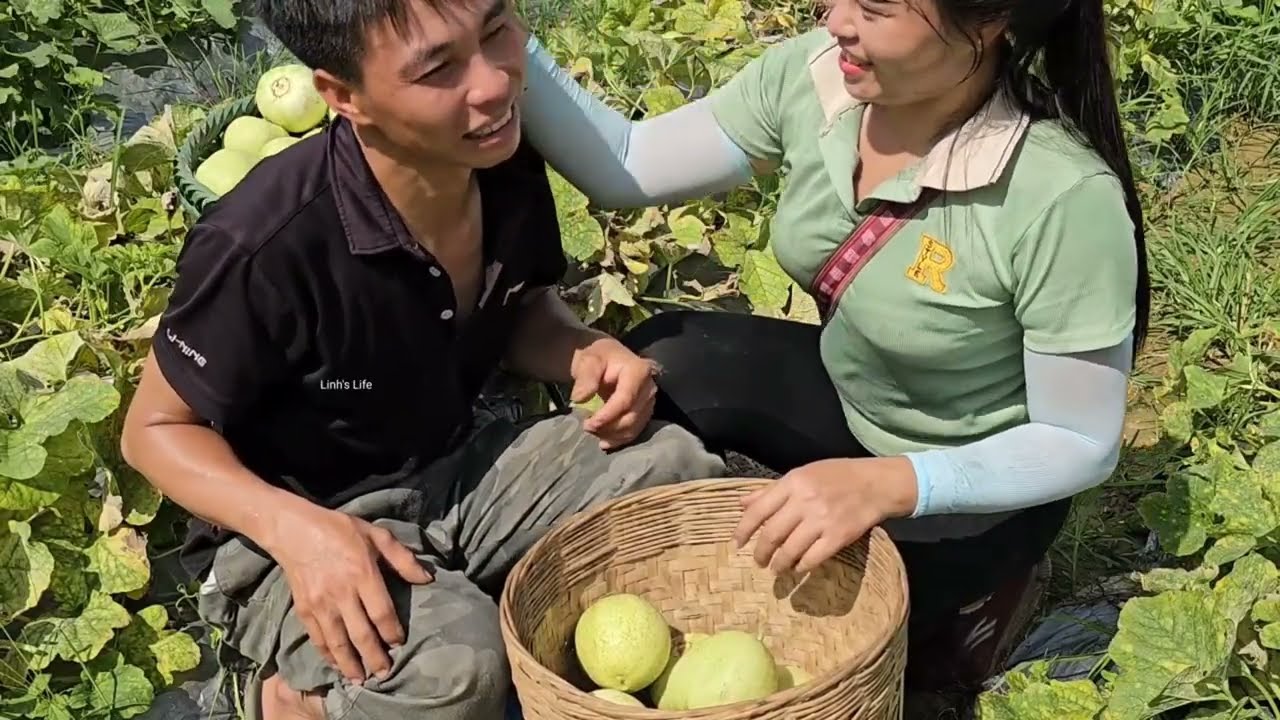 Warm Winter Together Harvesting Fruits, Agricultural Products for Sale - Linh's Life