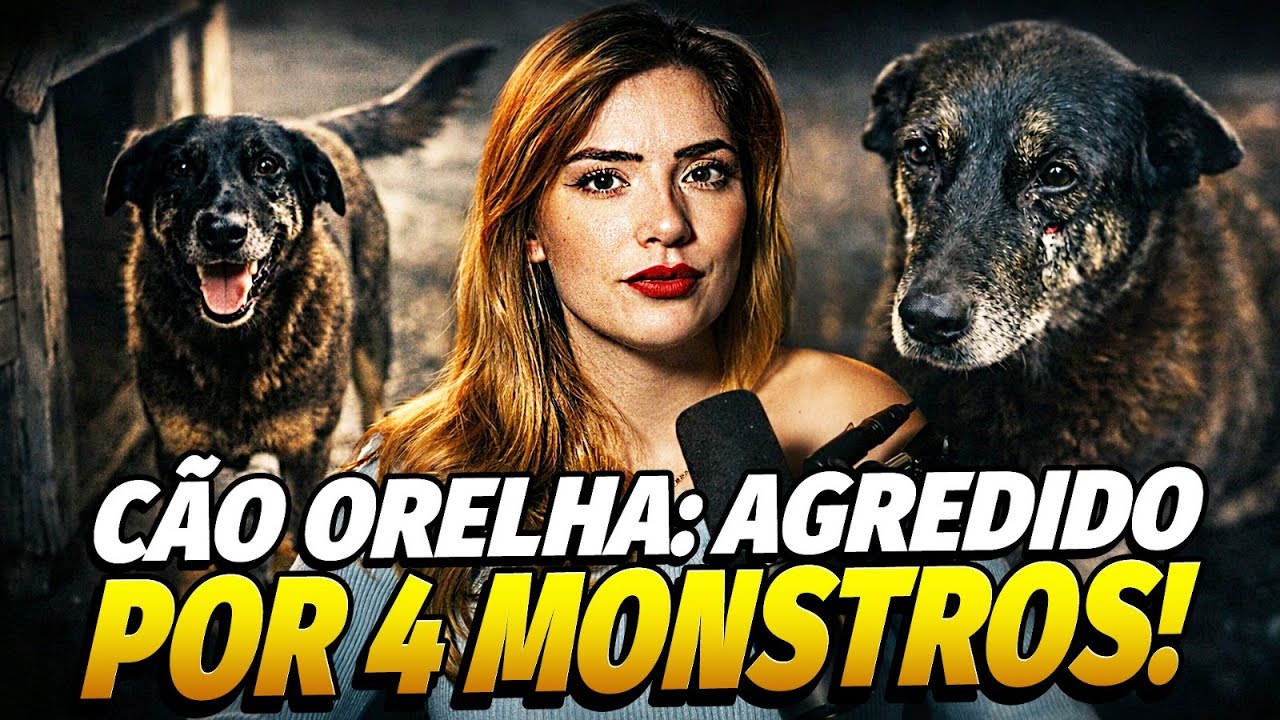 CÃO ORELHA: AGREDlD0 POR 4 MONSTROS NA PRAIA BRAVA