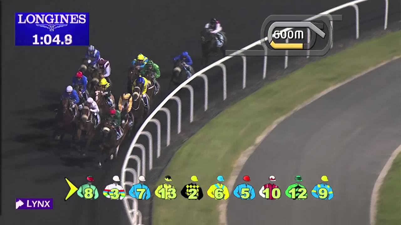 Race 4 - Al Dana Visa Infinite Card