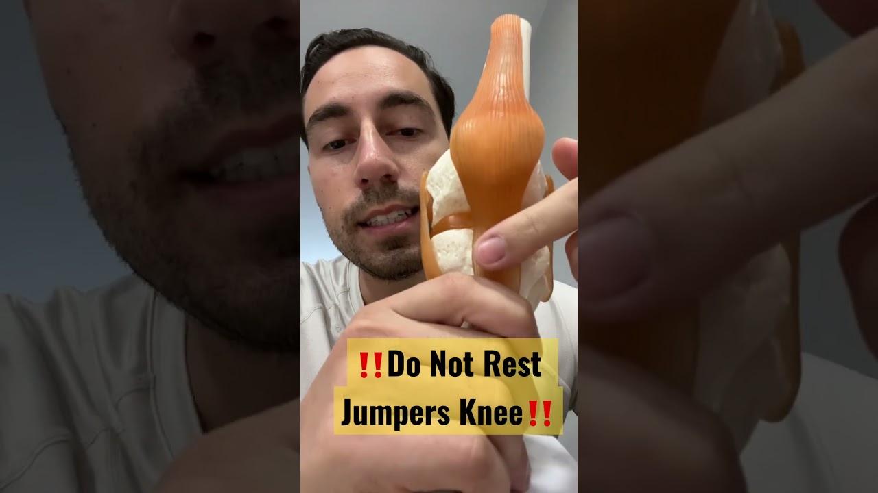 Jumpers knee rehab : do not rest #shorts