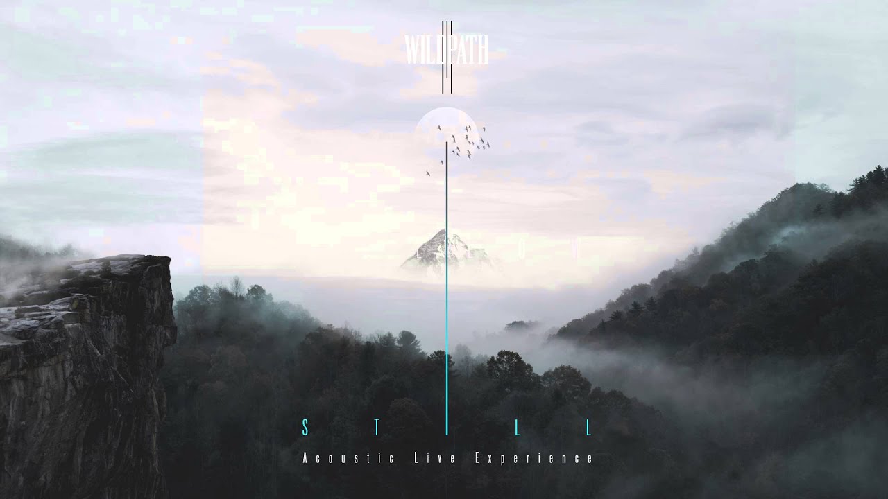 Wildpath - STILL: Acoustic Live Experience - Hollow