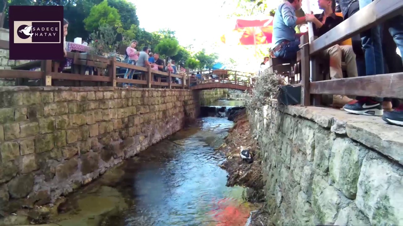 Hatay Samandağ Hıdırbey Köyü-Musa Ağacı