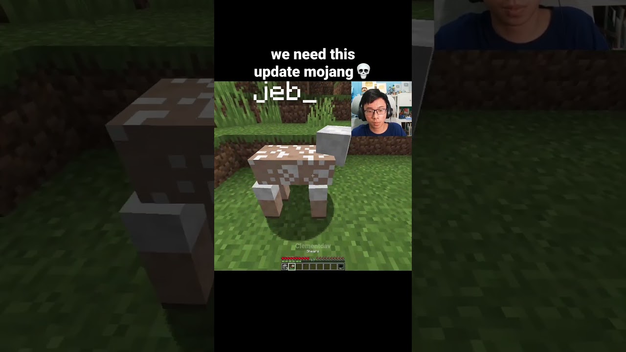 Minecraft Rainbow Wool Moment