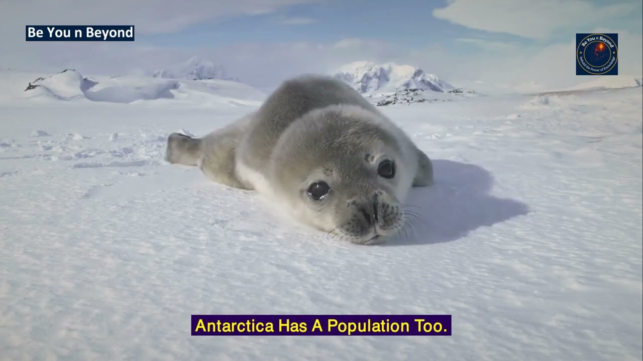 8 миллиардов человек… и вот что происходит 🌍