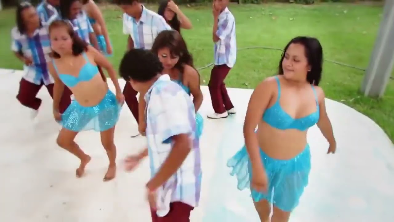 Los Primos de Guerrero - Sones Costeños