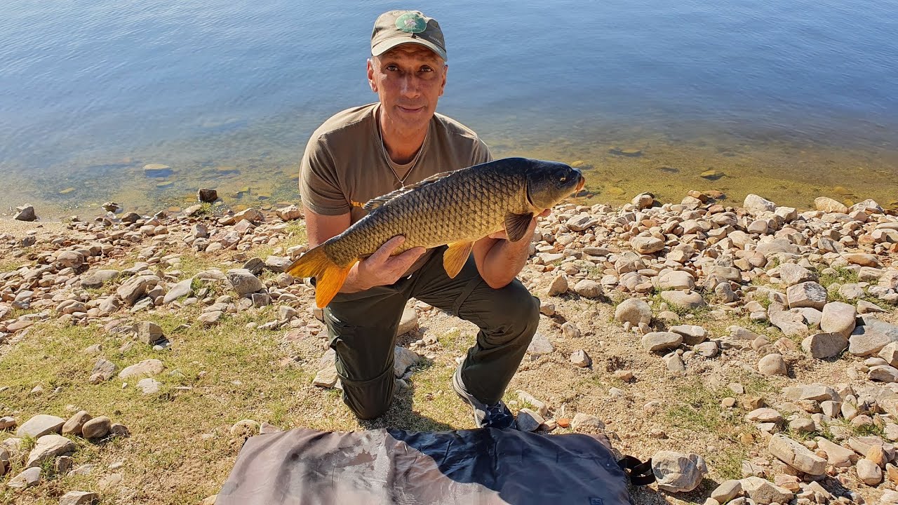 FEEDER - VALDECAÑAS