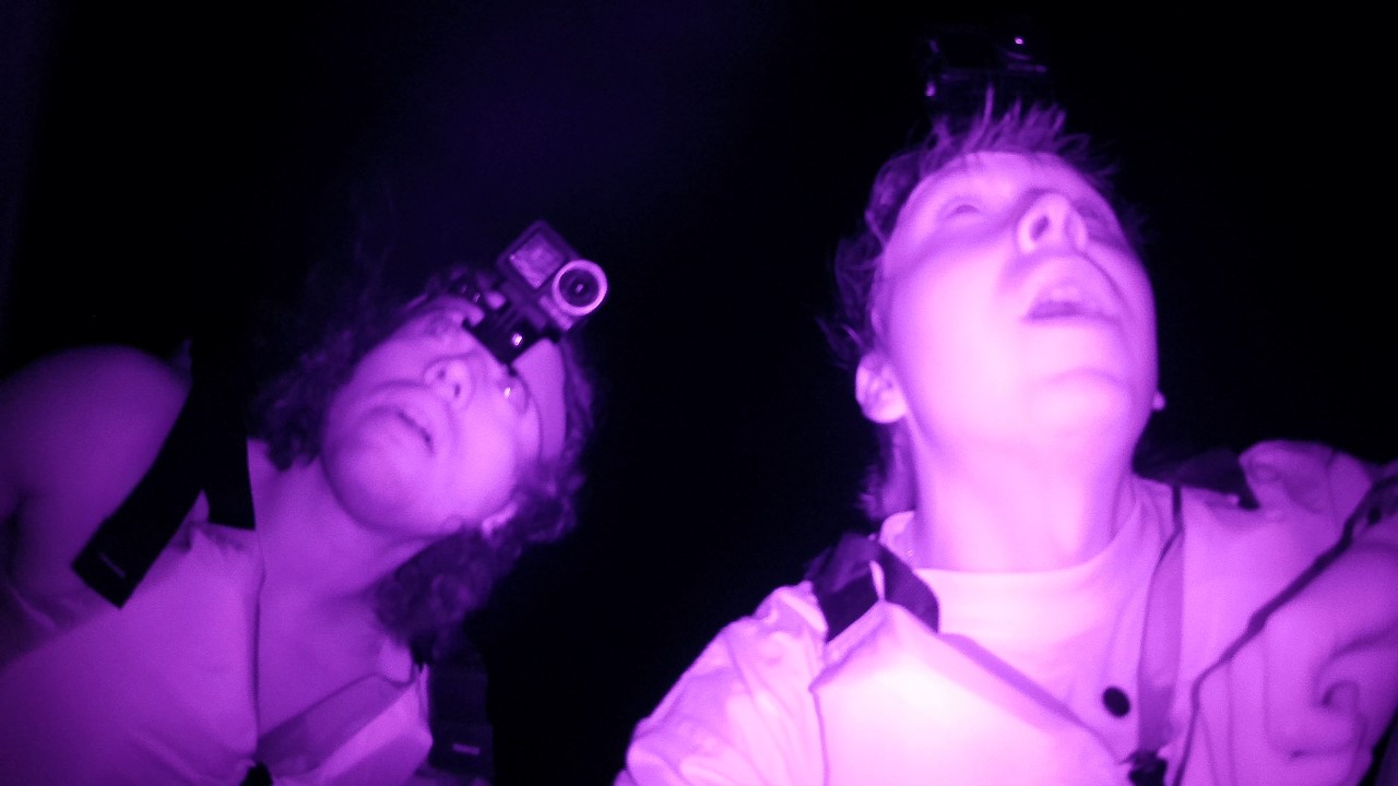 Sidequest Drew Epstein Island  (Part 2) FULL VID