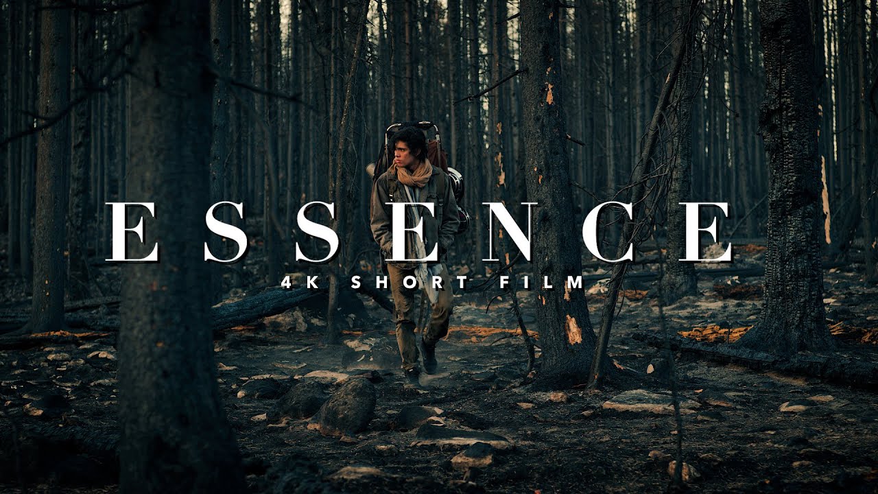 RED Weapon Dragon 4K SHORT FILM - ESSENCE