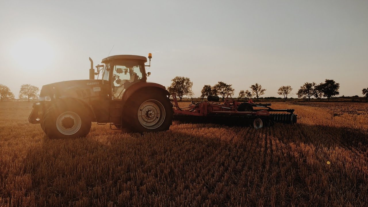 Disking 2019 | Case Puma 225 CVX | Grégoire Besson Normandie