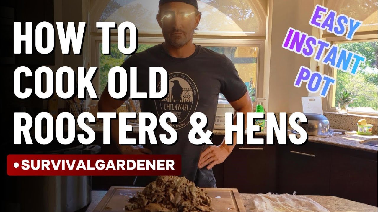 Turn Tough Rooster or Hen into Delicious Dinner (Instant Pot!)