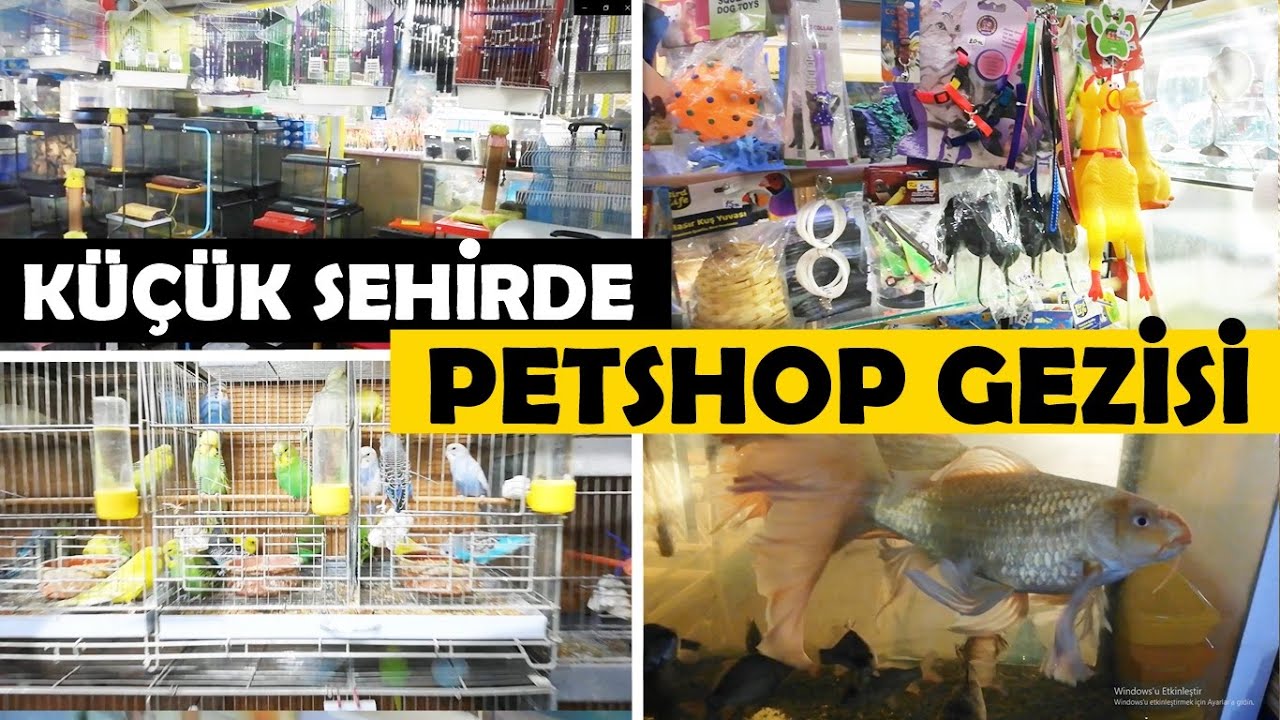 KÜÇÜK ŞEHİRDE PETSHOP GEZİSİ (AKVARYUMCULAR VLOG #2)