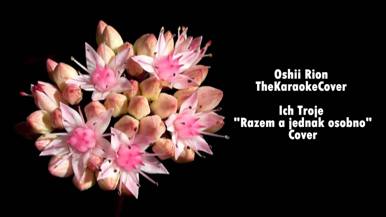Oshii Rion i TheKaraokeCover - 