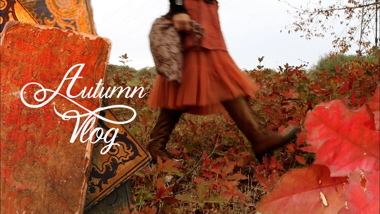 Autumn Cozy Vlog, Books , Pumpkins and  Studio cleaning  like a poet