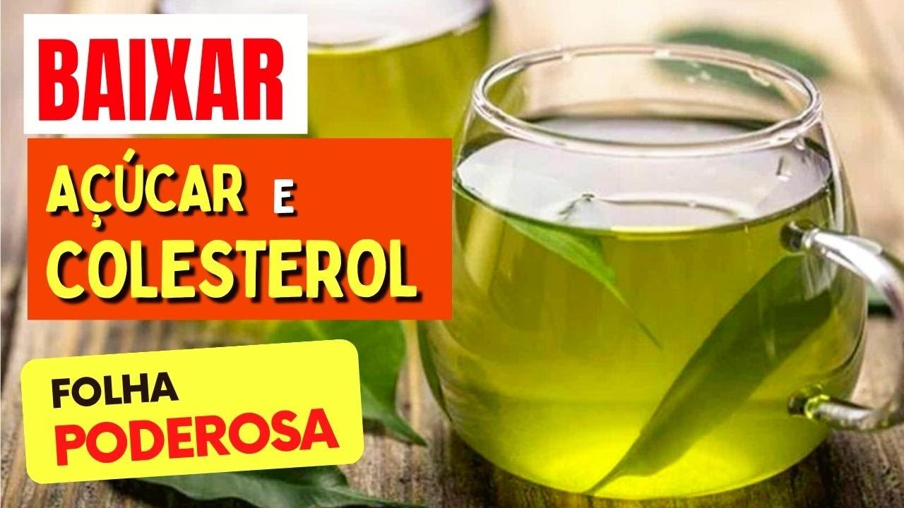 CHÁ da FOLHA DE ABACATE — Compostos Naturais Estudados para GLICOSE, PRESSÃO e BEM-ESTAR!  COMO USAR