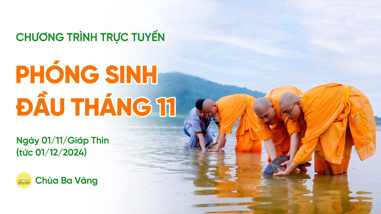 🔴 [TRỰC TIẾP] Ph&oacute;ng sinh đầu th&aacute;ng 11 | Ch&ugrave;a Ba V&agrave;ng, ng&agrave;y 01/11/Gi&aacute;p Th&igrave;n