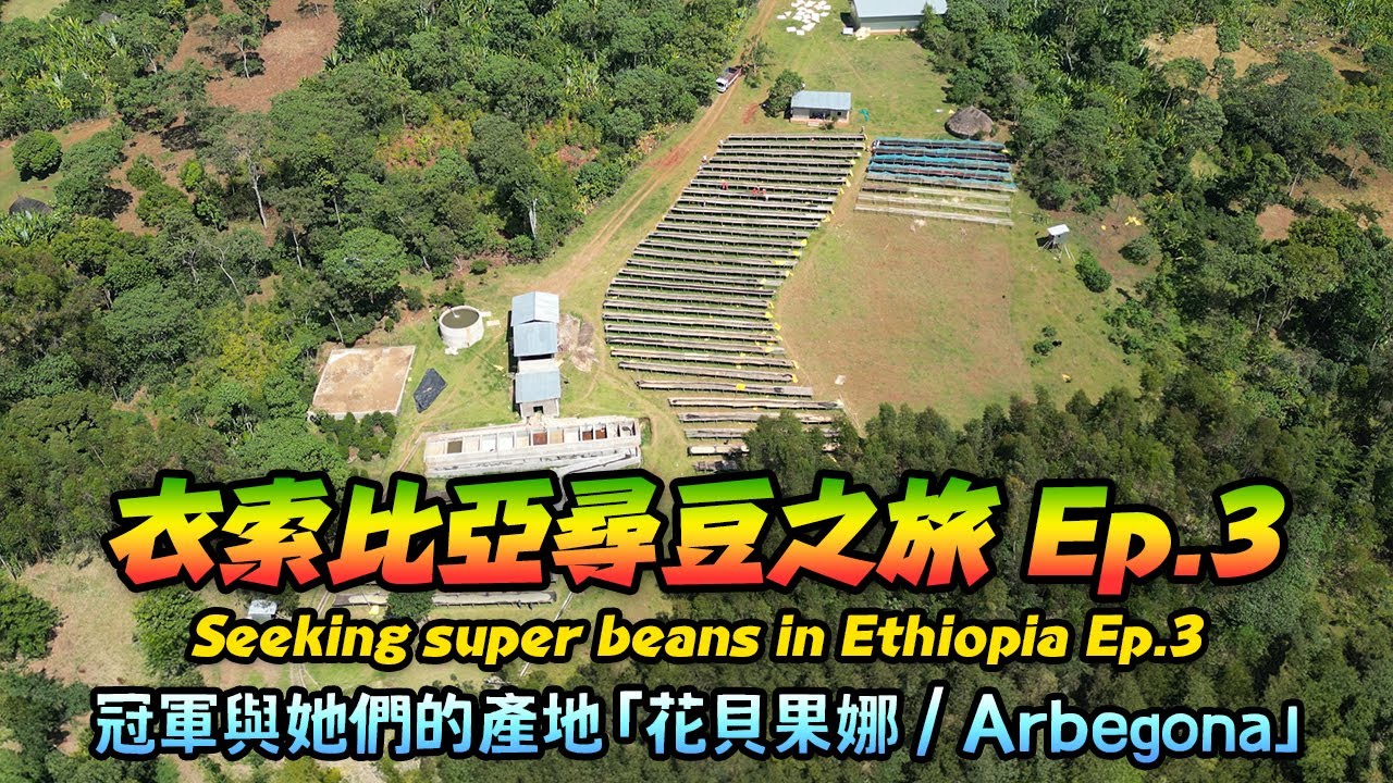 衣索比亞尋豆之旅 Ep.3 - 冠軍與她們的產地「花貝果娜 / Arbegona」