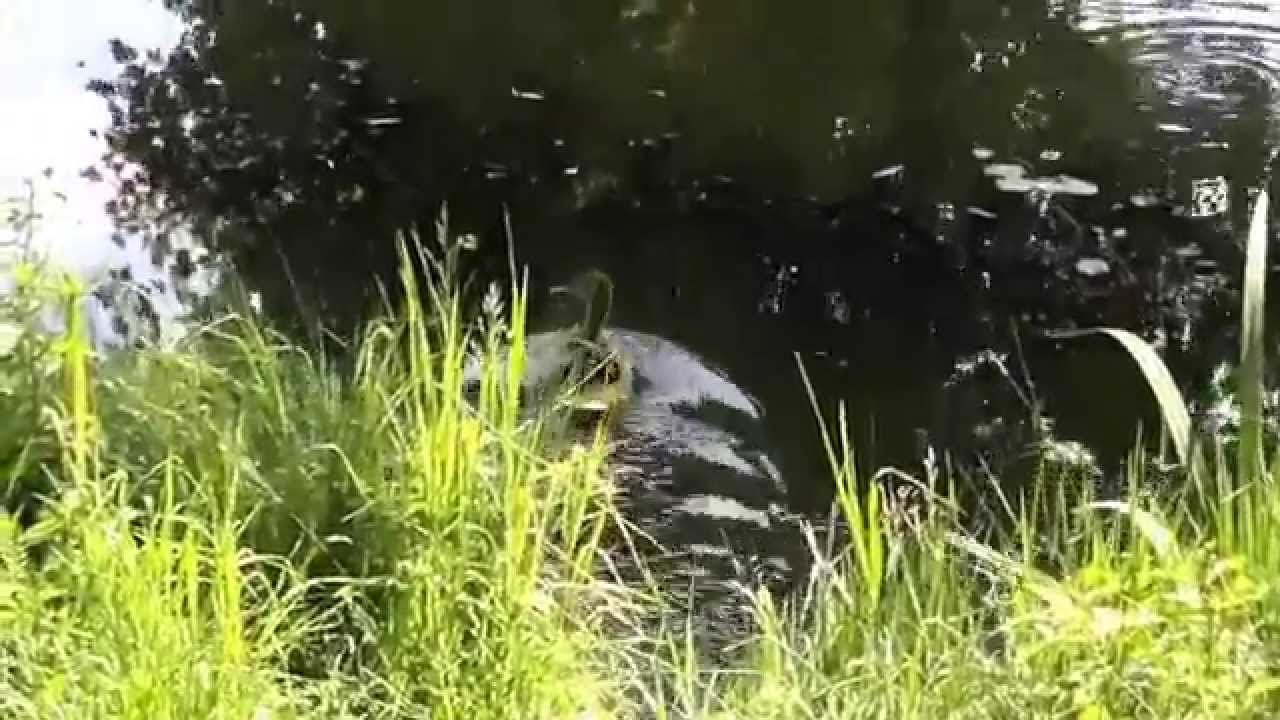 Zeeland Noord Brabant