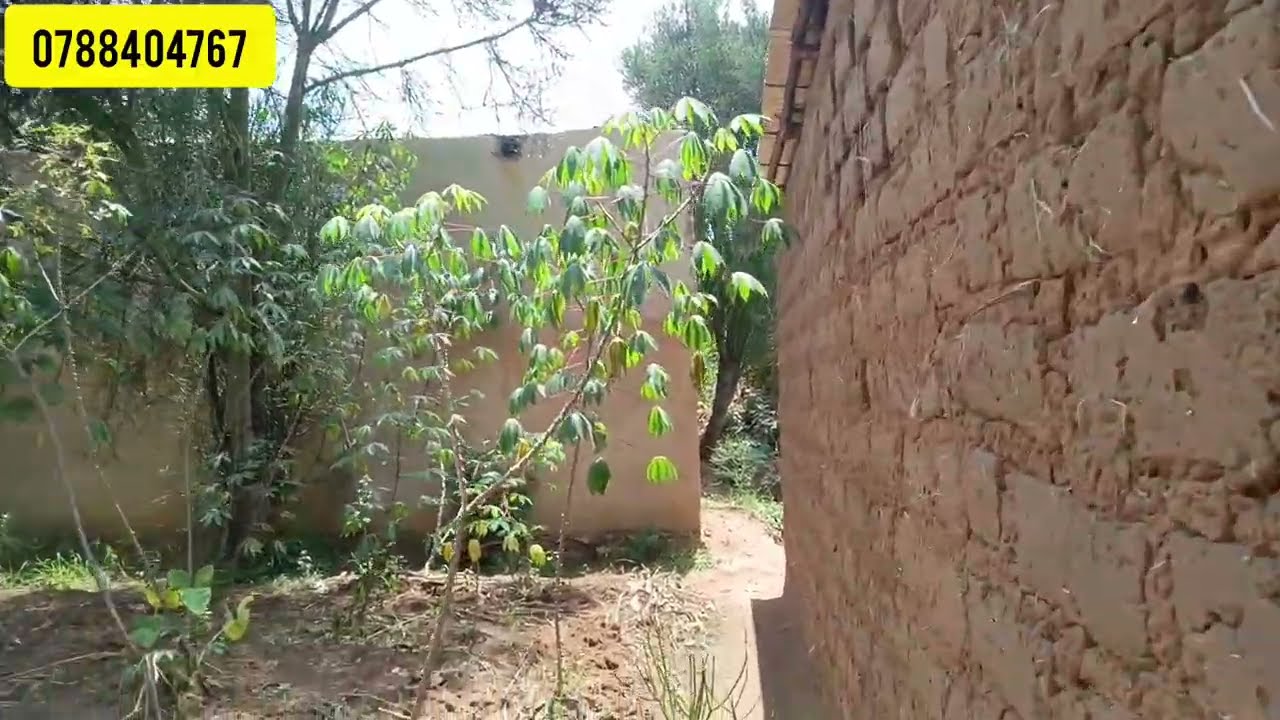 IBAZE KURI 3.7M INZU YA KONOSHI NIKIBANZA HANO BUGESERA HAFI NIKIBUGA KINDEGE/ABA GEN Z MUZE MUHAHE