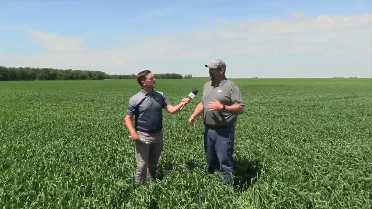 Soil School: Defining soil health and its role in fertilizer and nutrient management