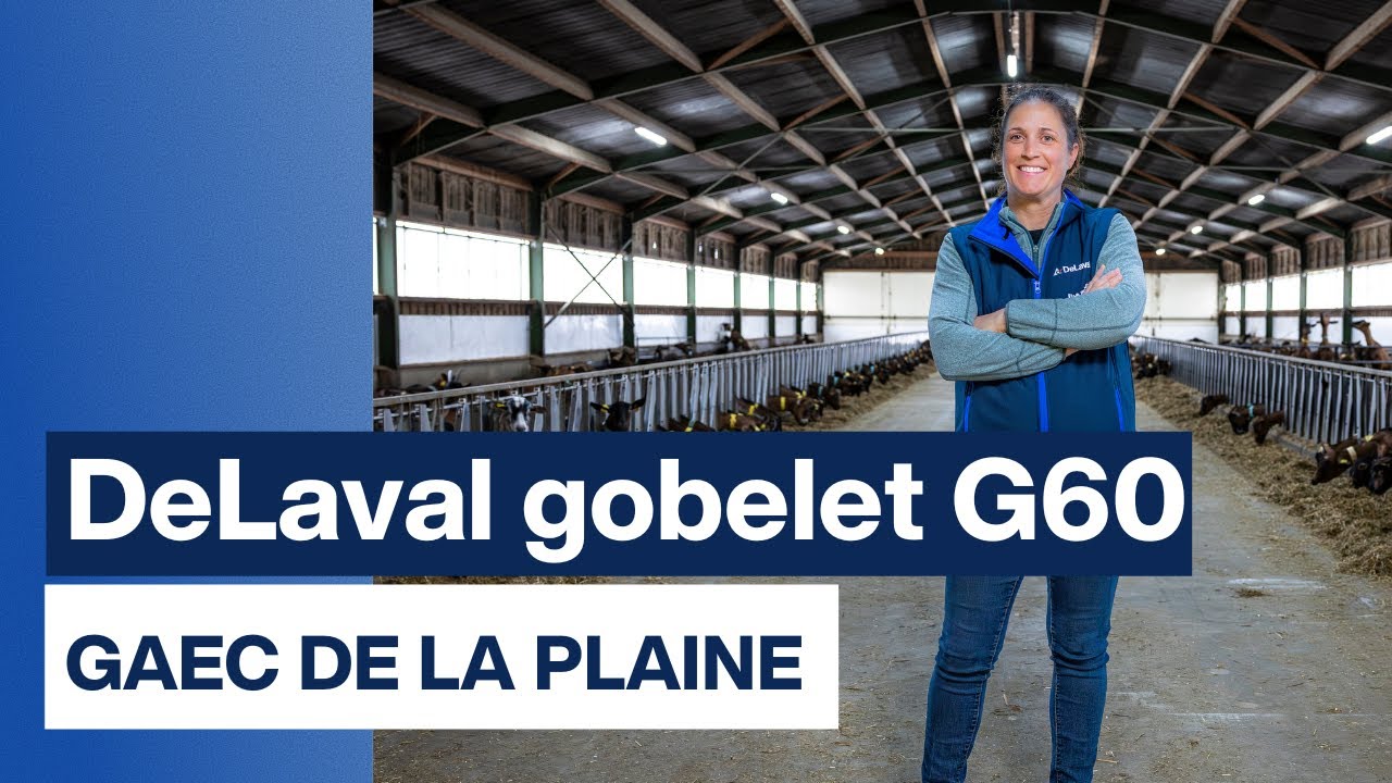 Témoignage nouveau gobelet DeLaval G60 au GAEC de la PLAINE