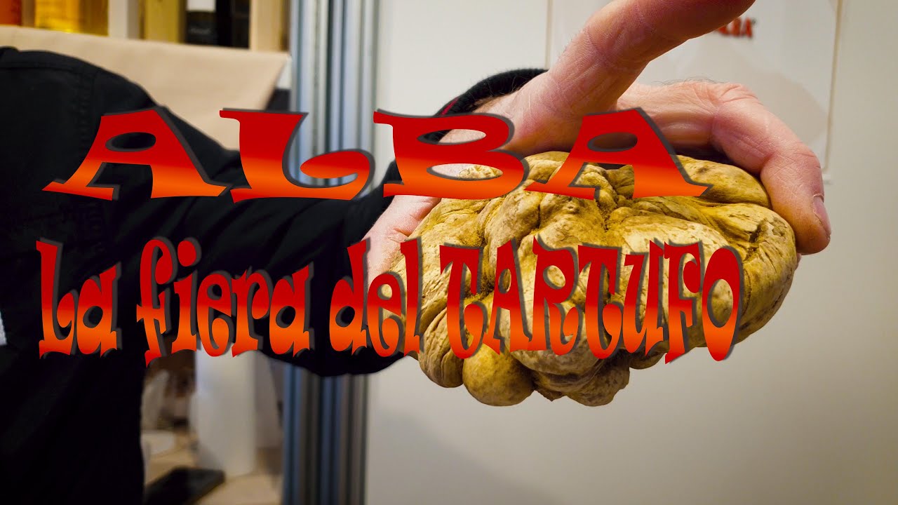 ALBA La Fiera del TARTUFO  i VINI delle LANGHE   Formaggi e Salumi locali  PIEMONTE 🧀🥩🍷