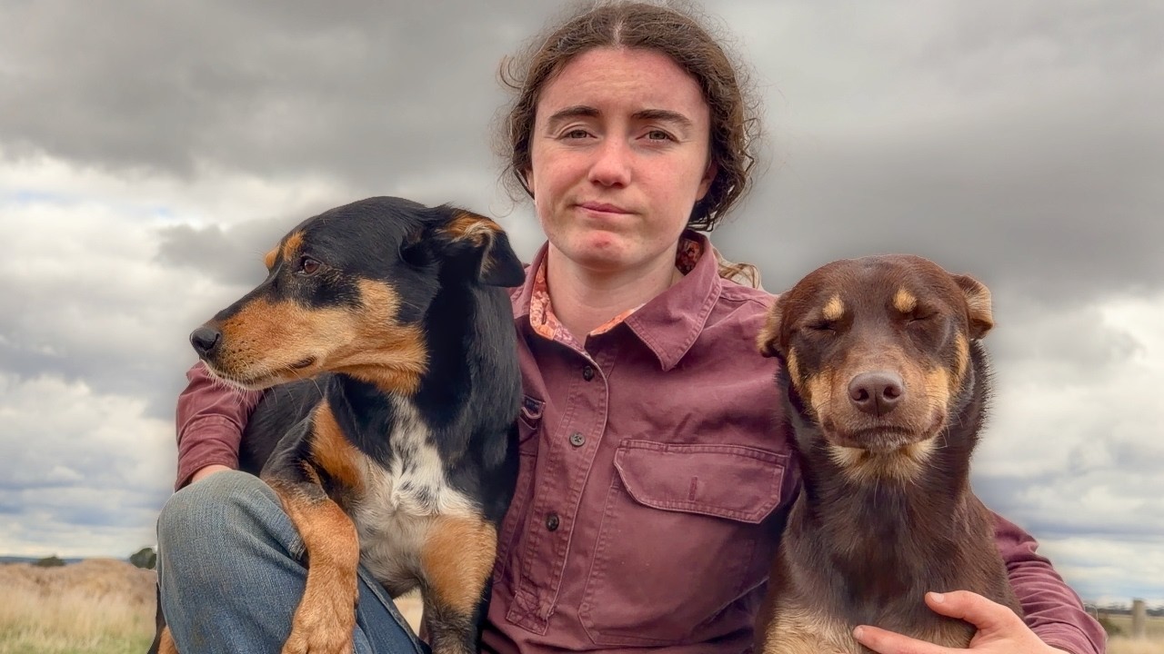 Nothing Special Today