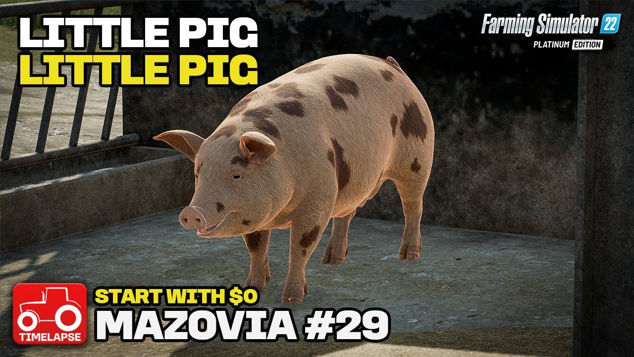 BUILDING A PIG SHED!! [Mazovia Start With $0] FS22 Timelapse # 29