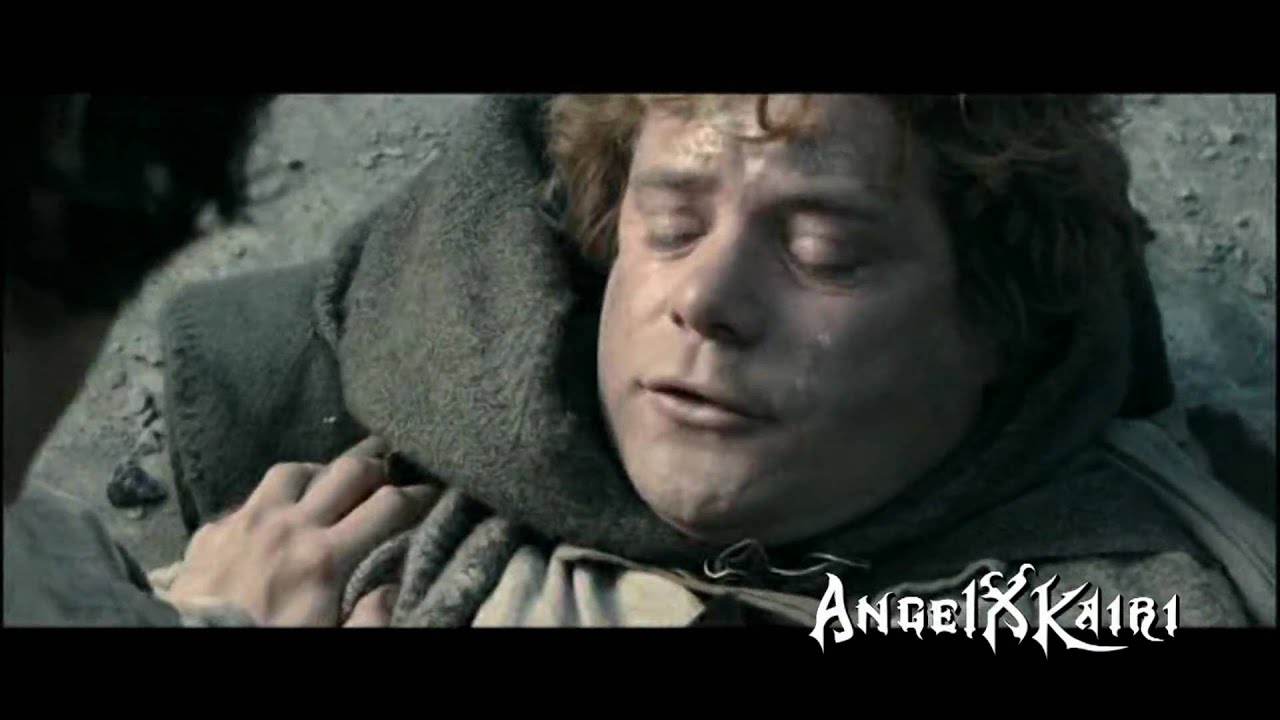 Frodo and Sam ~ What Hurts the Most
