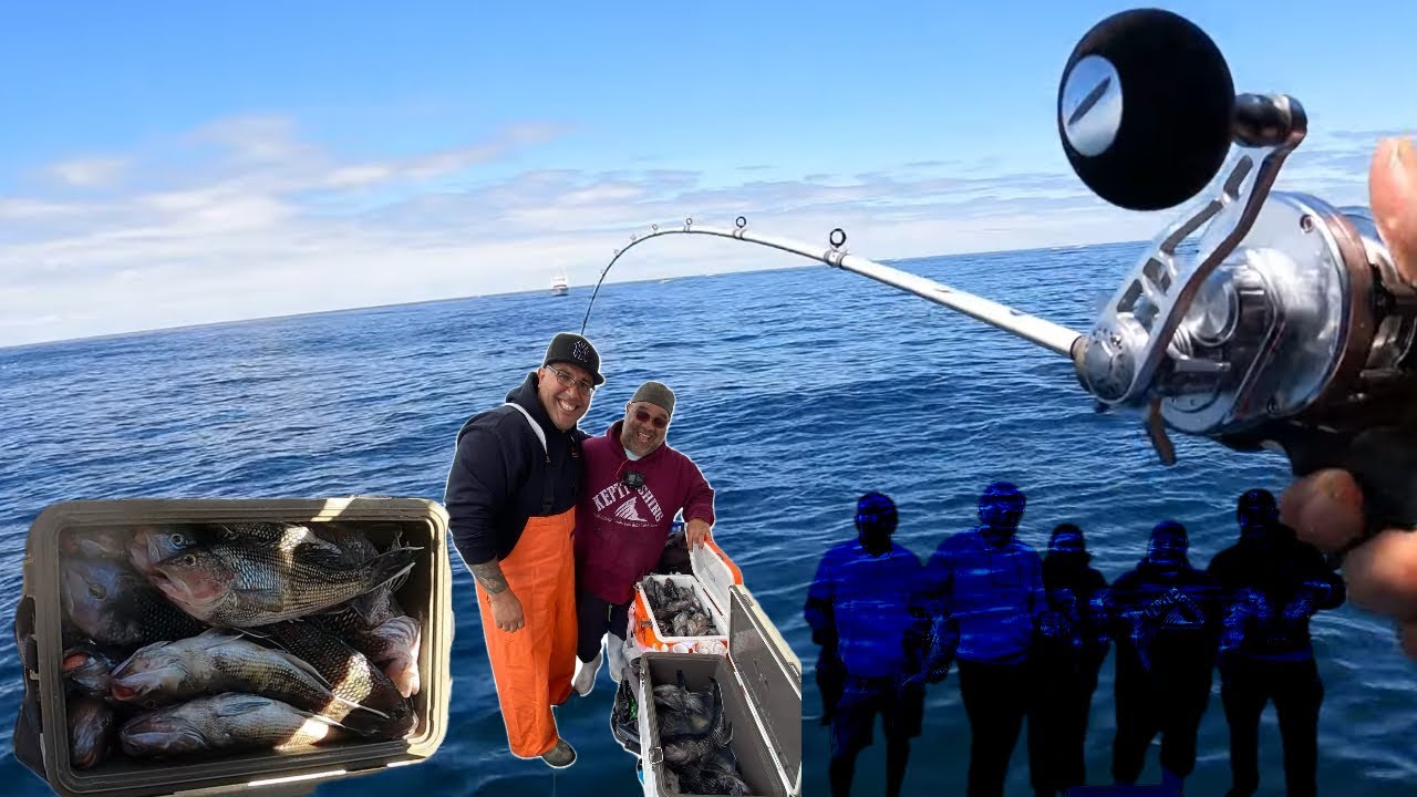 Catching Monster Sea Bass with Subscribers on the Jamaica II Party Boat! #fishing