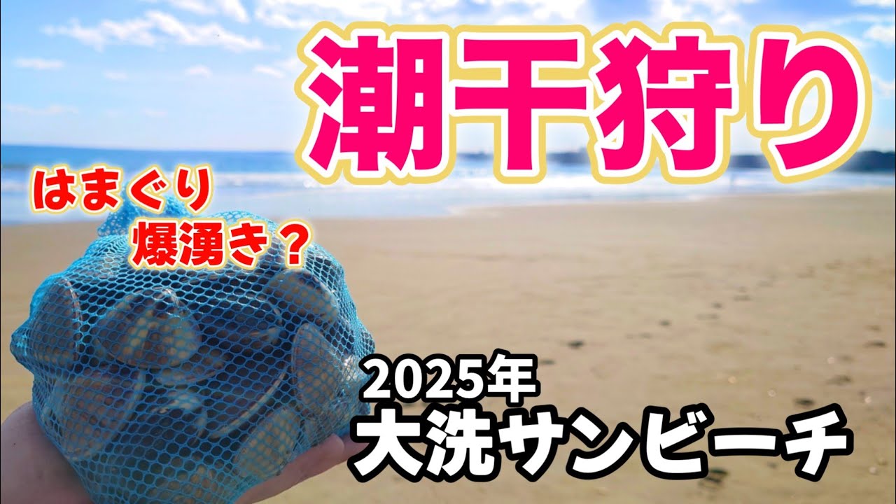 無料で楽しめる茨城の人気潮干狩りスポット 大洗サンビーチ はまぐりがざっくざく！大漁！
