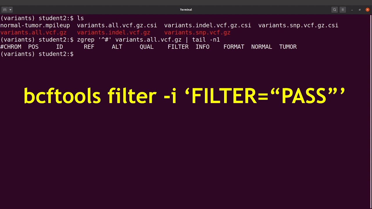bcftools filter | Filtering variants using the FILTER field