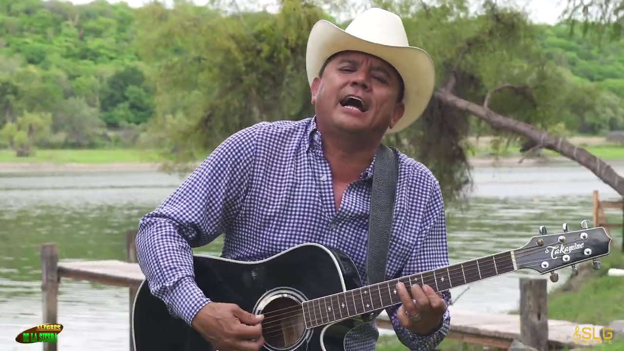 ALEGRES DE LA SIERRA - NOEL ZEPEDA